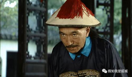 宰相刘罗锅电视剧全集,宫廷智斗，笑谈朝堂风云